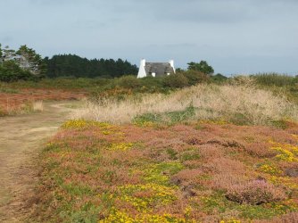 2018_0904_181746.JPG