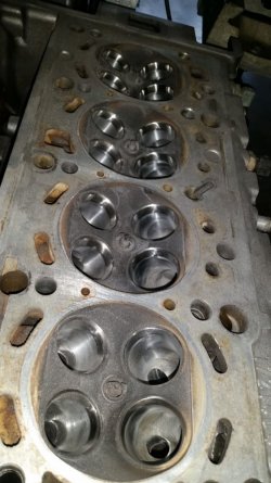 B566E8EE-6C7C-4434-A569-BB8D64FB1BEC.jpeg B566E8EE-6C7C-4434-A569-BB8D64FB1BEC.jpeg