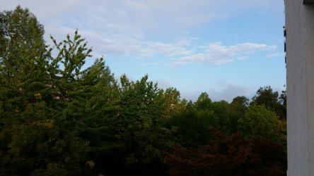 2018-09-08 07.51.42.jpg