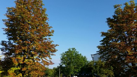 2018-09-08 08.15.22.jpg