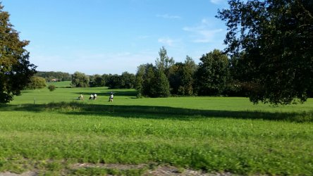 2018-09-09 17.58.28.jpg 2018-09-09 17.58.28.jpg