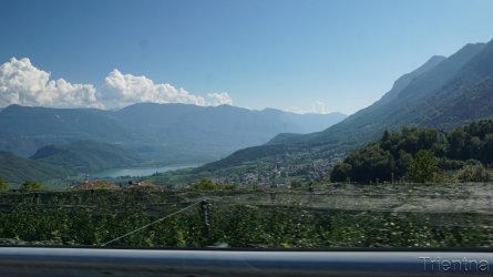 DSC01884.JPG