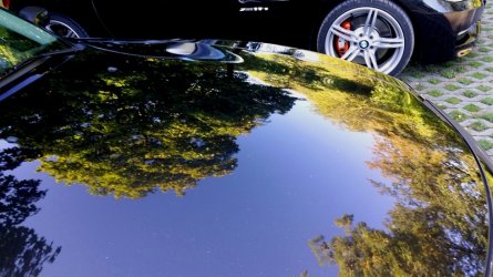 20180908_092537b.jpg