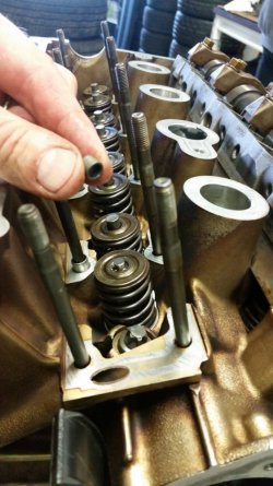 B0889C46-D023-403A-B583-AB9495B0DFFE.jpeg B0889C46-D023-403A-B583-AB9495B0DFFE.jpeg