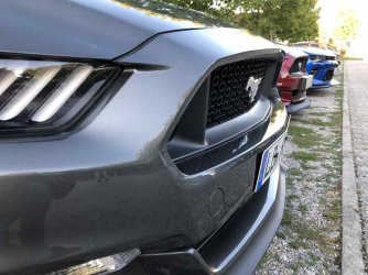 Mustang_Front_0007.jpg