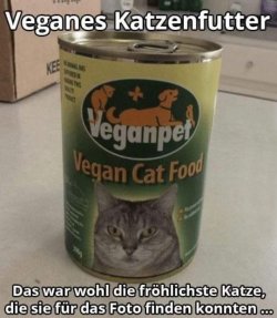 4Unbenannt.JPG