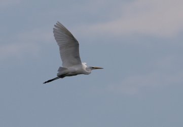 295A2176_k.jpg