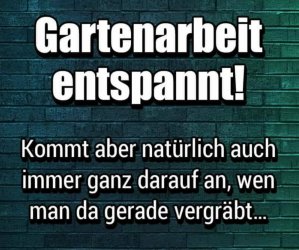 20180912_214050.jpg