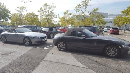 20180912_161245.jpg