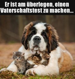 tUnbenannt.JPG