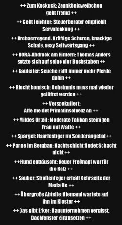 6Unbenannt.JPG