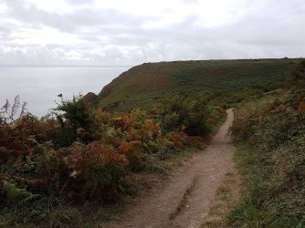 2018_0907_110748.jpg