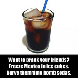 335DE28F-C847-4D87-A586-7D2E2B664BD0.jpeg