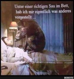 IMG-20180915-WA0015.jpg