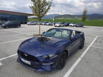 IMG_20180913_145350.jpg