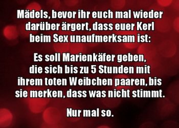 Unbenannt.JPG