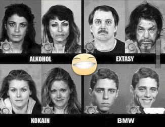 zettikoks.jpg
