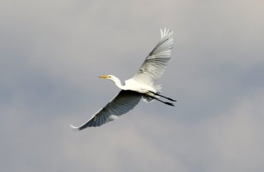 295A2601_k.jpg