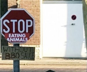 11Unbenannt.JPG