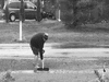 schaufel(2).gif
