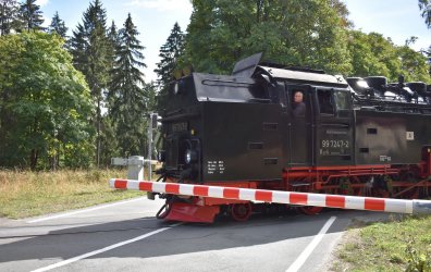 DSC_0128.jpg