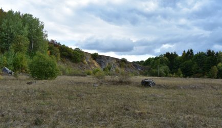 DSC_0105.jpg