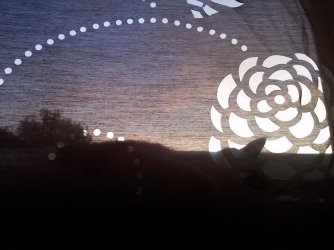 20180710_205412.jpg