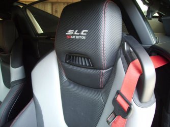 SLC 300 001.JPG