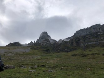 E470A263-E4BB-491E-B1FE-66AA7FE364D5.jpeg