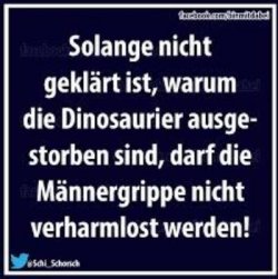 Männergrippe.JPG