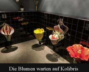 7Unbenannt.JPG