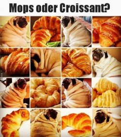 tUnbenannt.JPG
