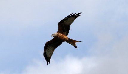 295A3077_k.jpg