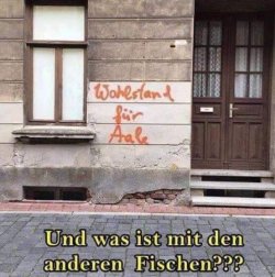 3Unbenannt.JPG