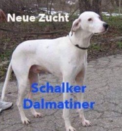 17Unbenannt.JPG