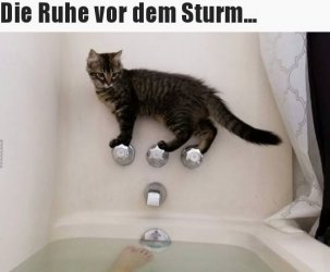 tUnbenannt.JPG