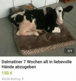 6Unbenannt.JPG