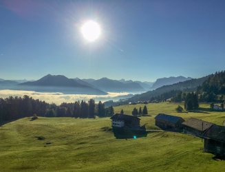 5366CB26-6865-4B66-BE06-7E5D49309C37.jpeg