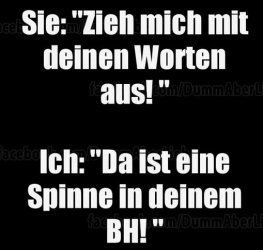 4Unbenannt.JPG