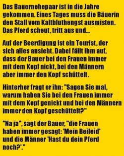 10Unbenannt.JPG