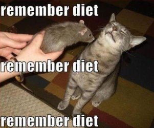 humor-li-picture-69802.jpg