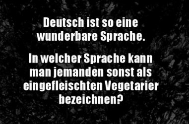 3Unbenannt.JPG