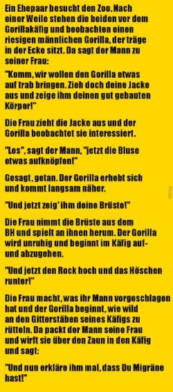 6Unbenannt.JPG