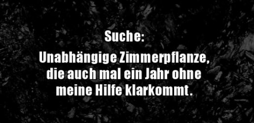 6Unbenannt.JPG