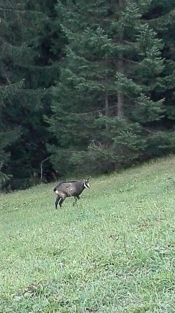 IMG-20181008-WA0010.jpeg
