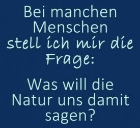 4Unbenannt.JPG