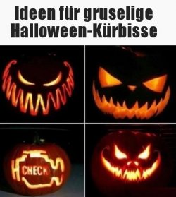 3Unbenannt.JPG
