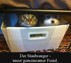 tUnbenannt.JPG