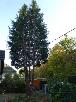 P1000430.JPG