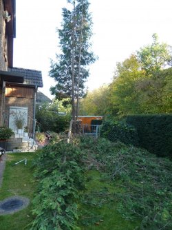 P1000437.JPG